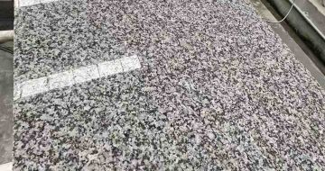 广西 芙蓉白光面