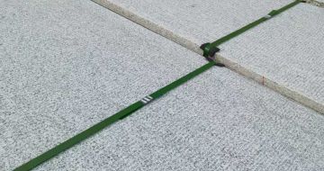 广西 芝麻白斧剁面