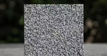 广西 芝麻黑荔枝面