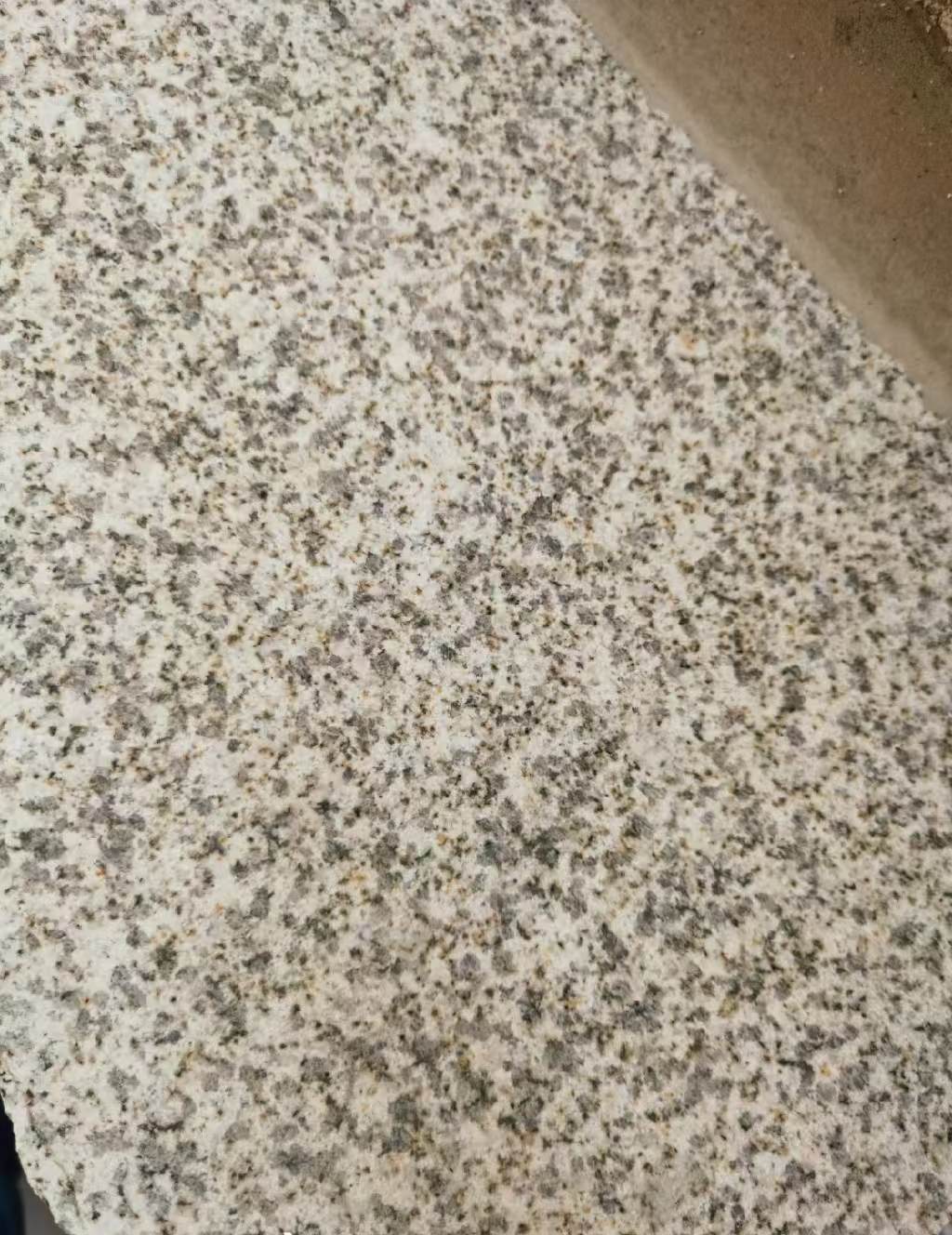广西 黄金麻中黄光面