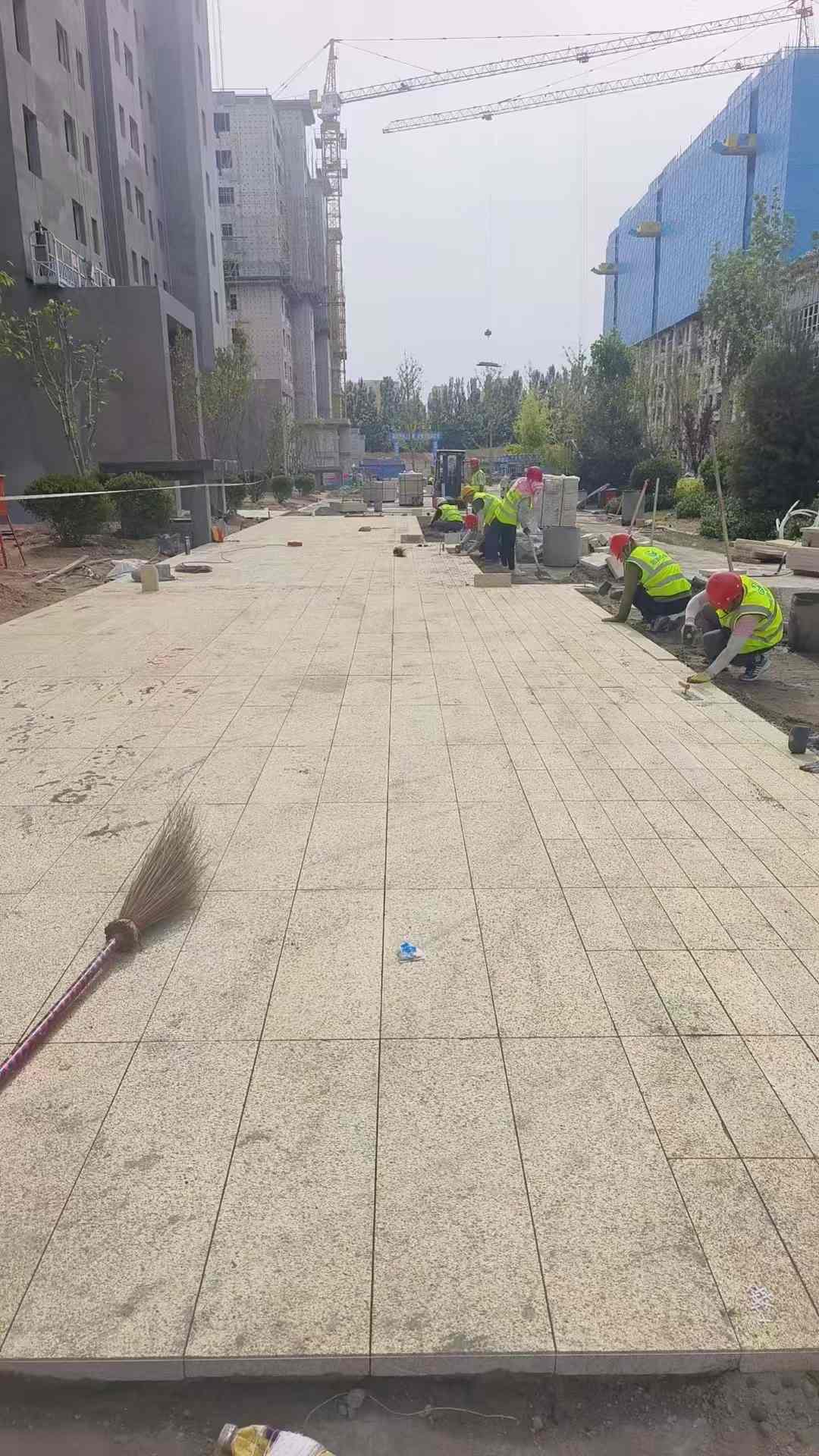 广西黄金麻荔枝面地铺案例