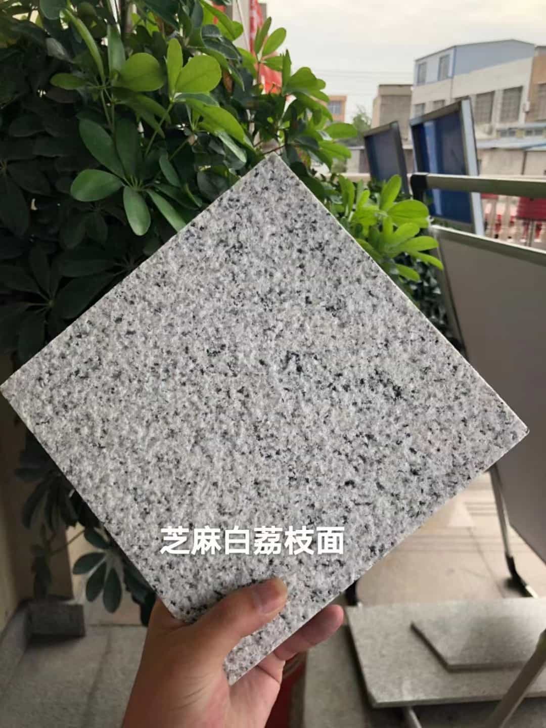 广西 芝麻白荔枝面干挂