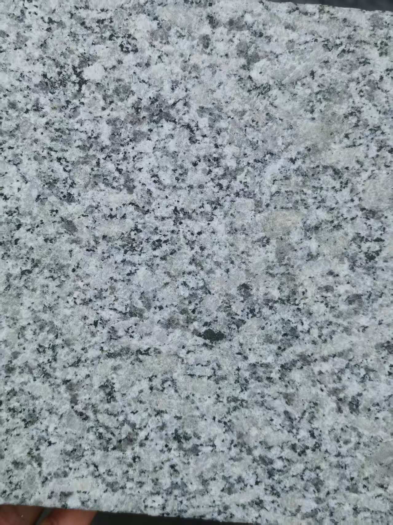 广西 芙蓉白火烧面